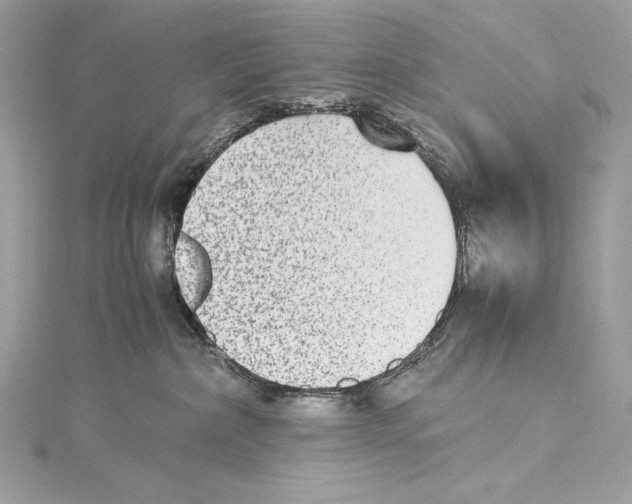 X0000115340236200911301554