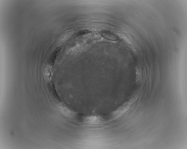 X0000115340237200911301554