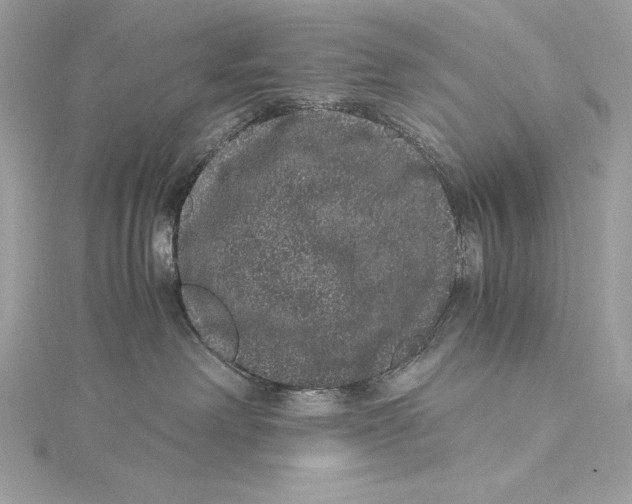 X0000115340238200911301554