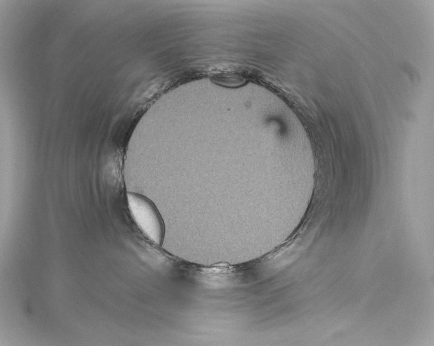 X0000115340240200911301554