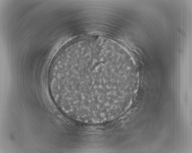 X0000115340241200911301553