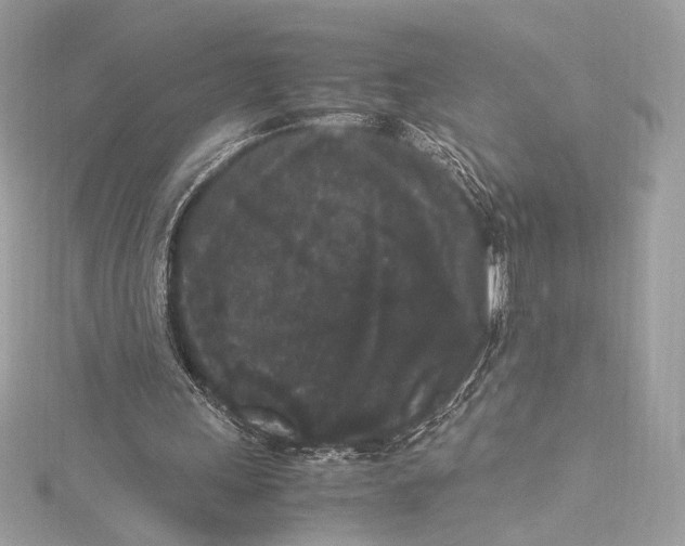 X0000115340243200911301553