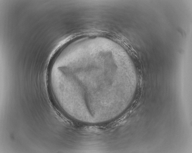 X0000115340244200911301553