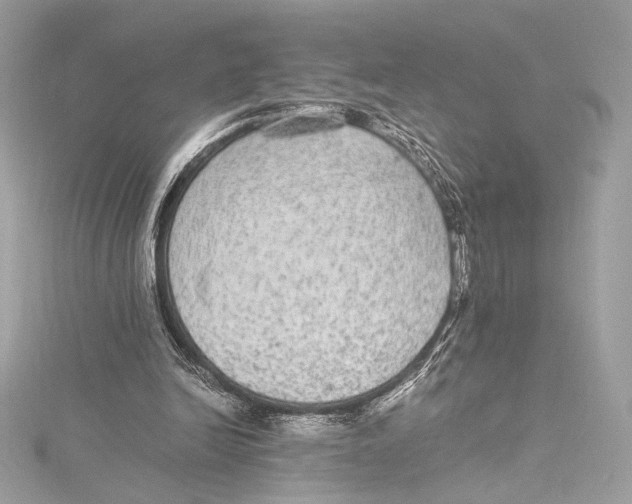 X0000115340246200911301553