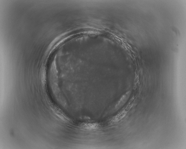 X0000115340247200911301553