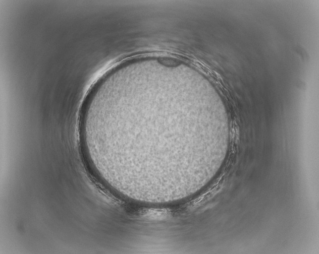 X0000115340248200911301553