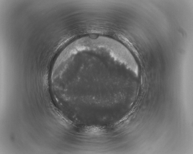 X0000115340249200911301553