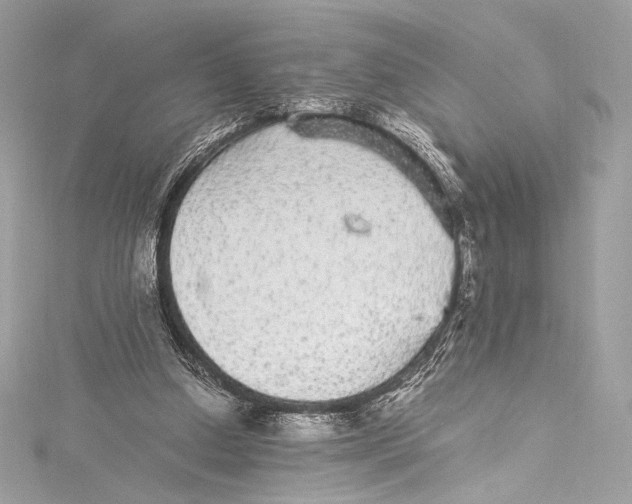 X0000115340250200911301553