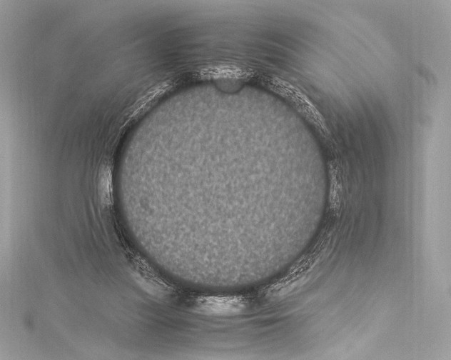 X0000115340251200911301553