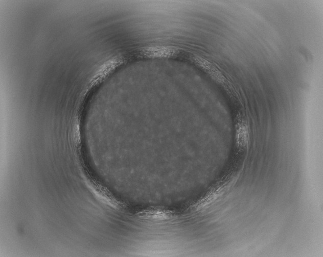 X0000115340254200911301553