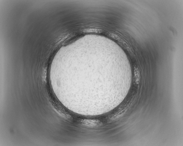 X0000115340255200911301553