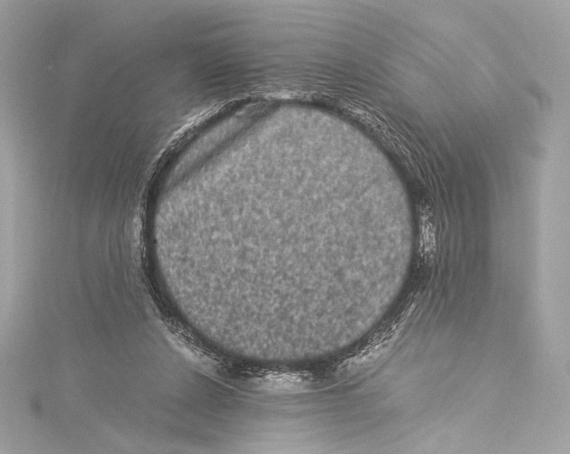 X0000115340256200911301553