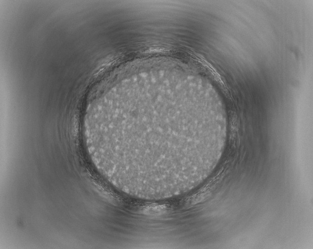 X0000115340257200911301553