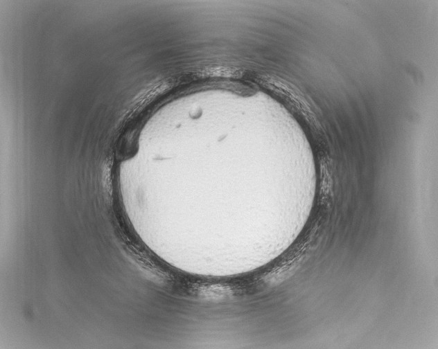 X0000115340258200911301553