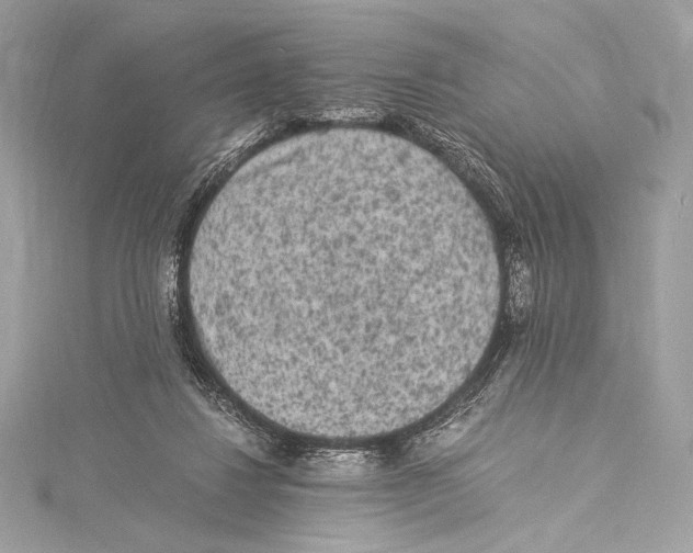 X0000115340260200911301553