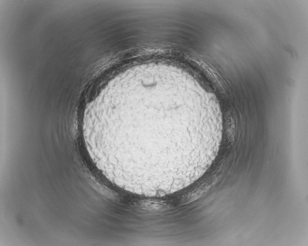 X0000115340261200911301553