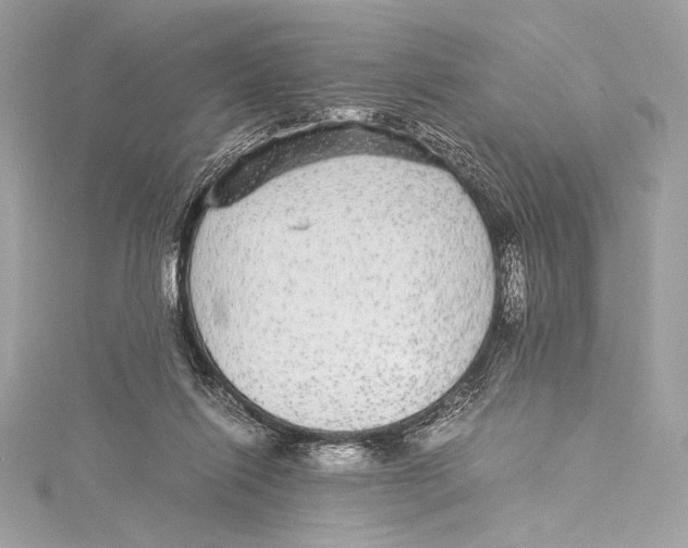 X0000115340262200911301553