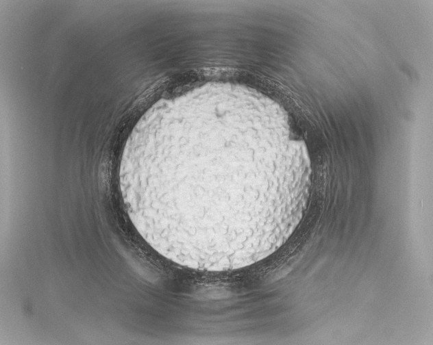 X0000115340263200911301553