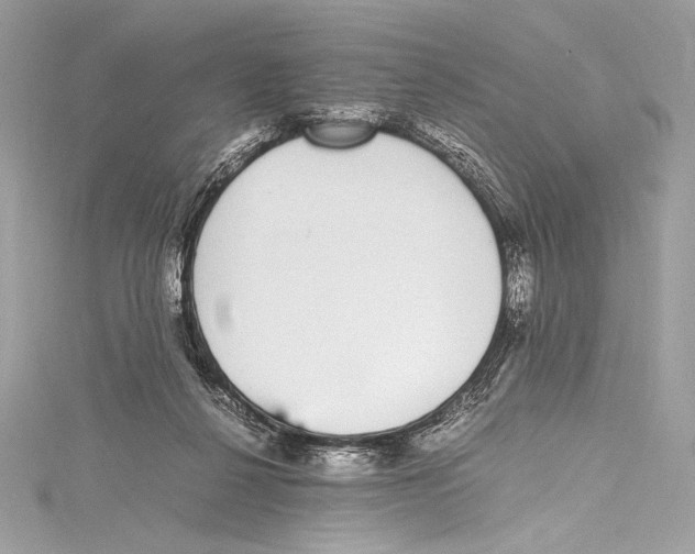 X0000115340264200911301553