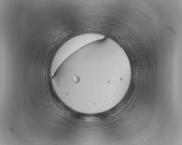 X0000115340268200911301554