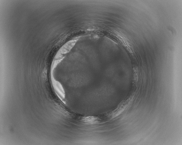 X0000115340269200911301554