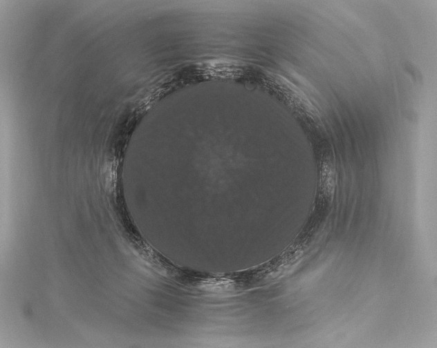 X0000115340271200911301554