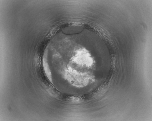 X0000115340272200911301554