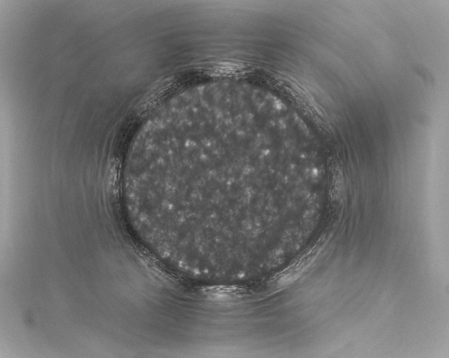 X0000115340273200911301554