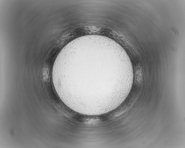 X0000115340274200911301554