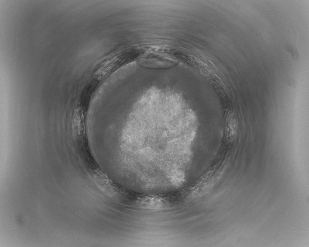 X0000115340276200911301554