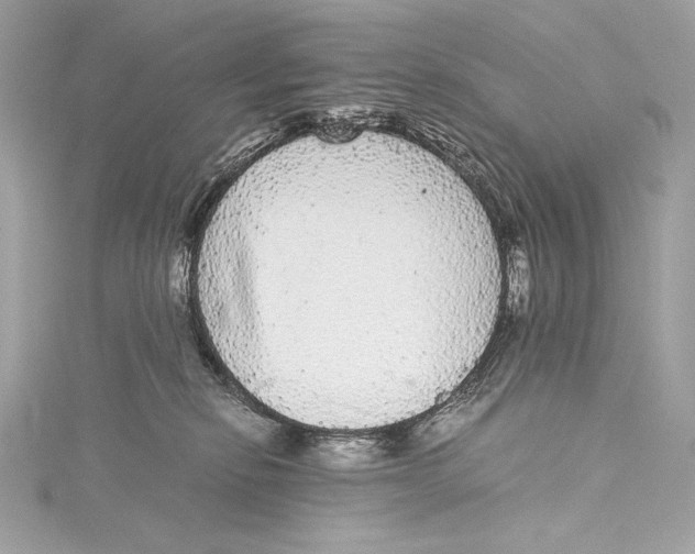 X0000115340278200911301554