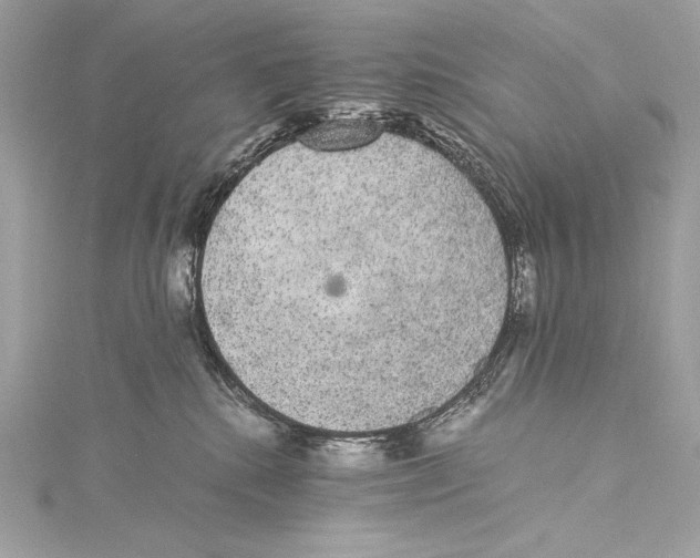 X0000115340280200911301554