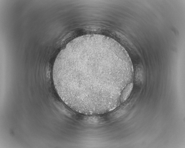 X0000115340282200911301554