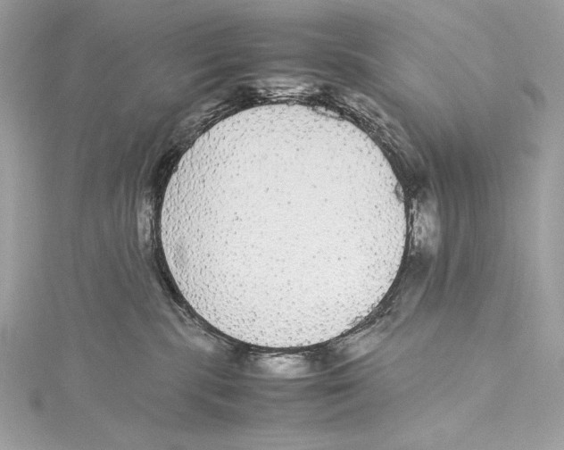 X0000115340283200911301554