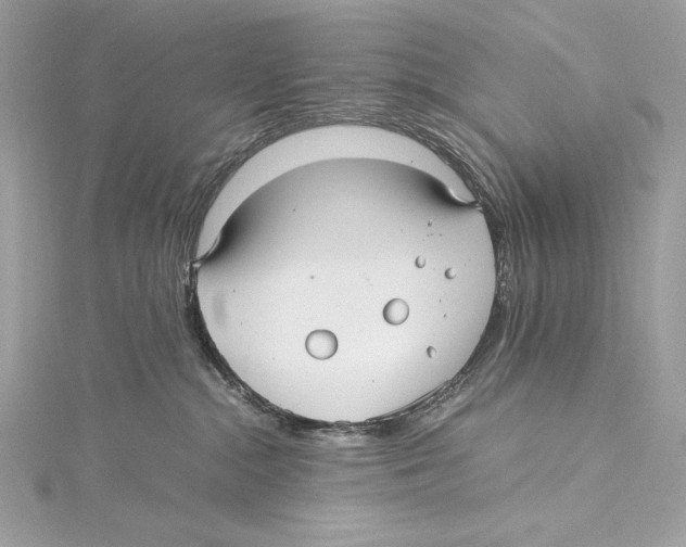 X0000115340284200911301554