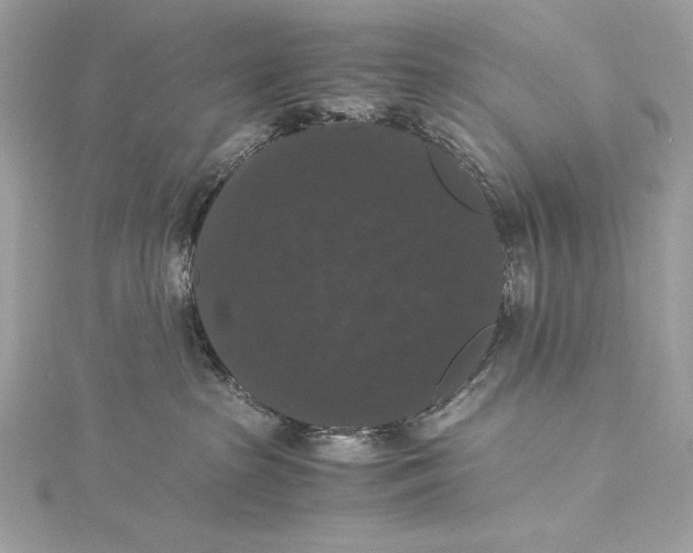 X0000115340285200911301554