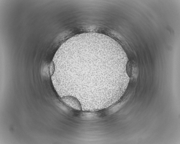 X0000115340286200911301554