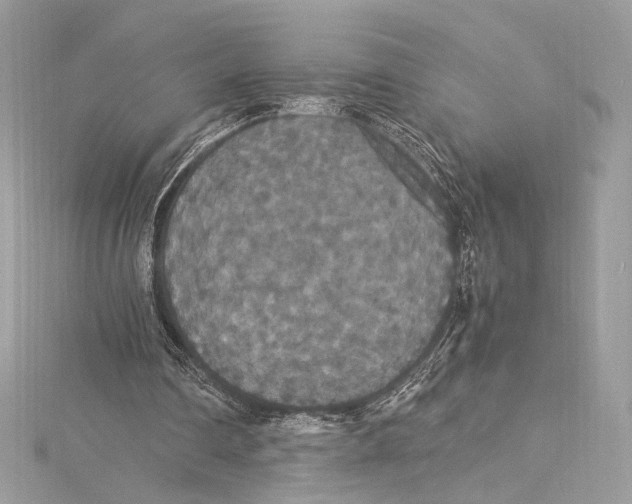 X0000115340290200911301553