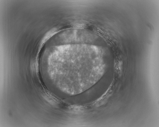 X0000115340294200911301553