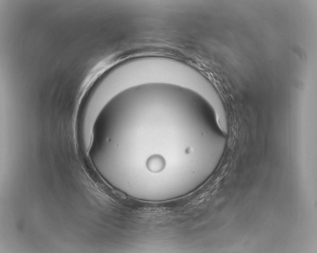 X0000115340296200911301553