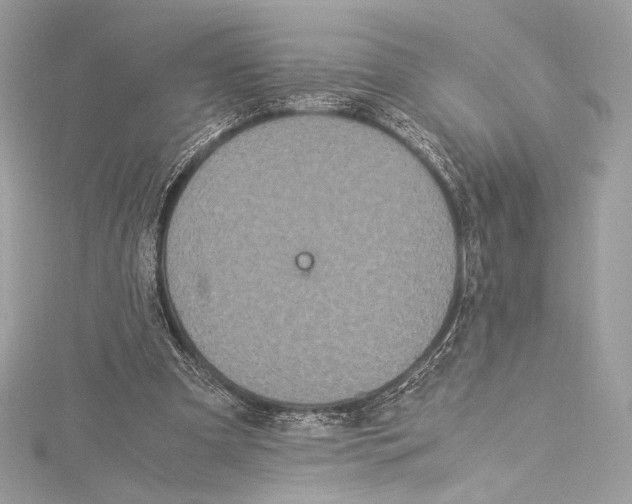 X0000115340297200911301553