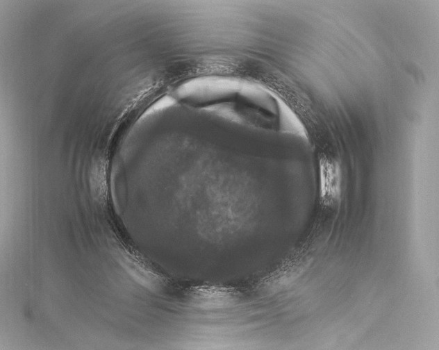 X0000115340300200911301553