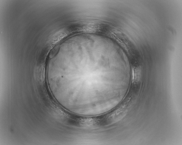 X0000115340301200911301553