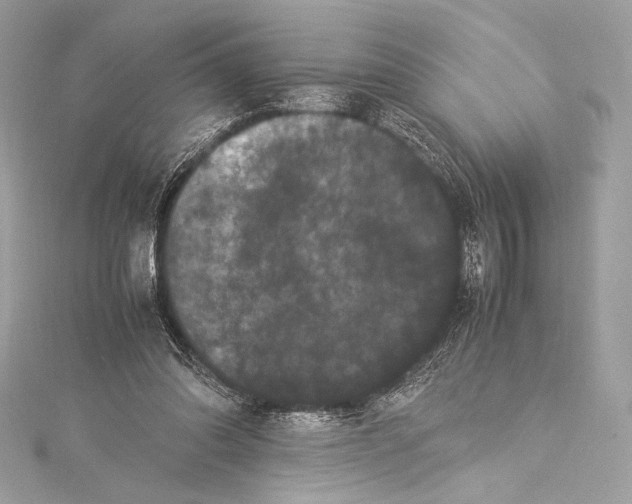 X0000115340302200911301553