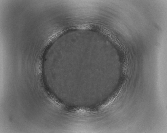 X0000115340303200911301553