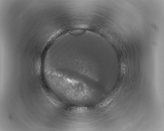 X0000115340304200911301553