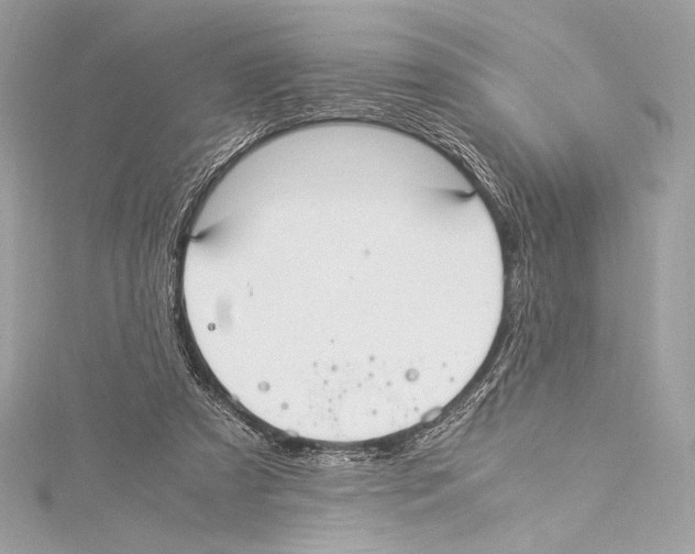 X0000115340305200911301553