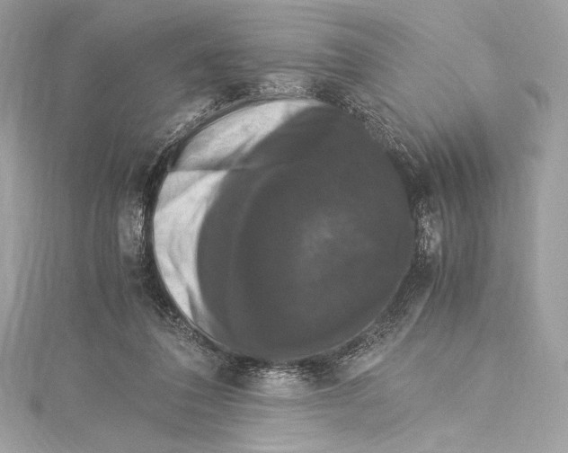 X0000115340308200911301553