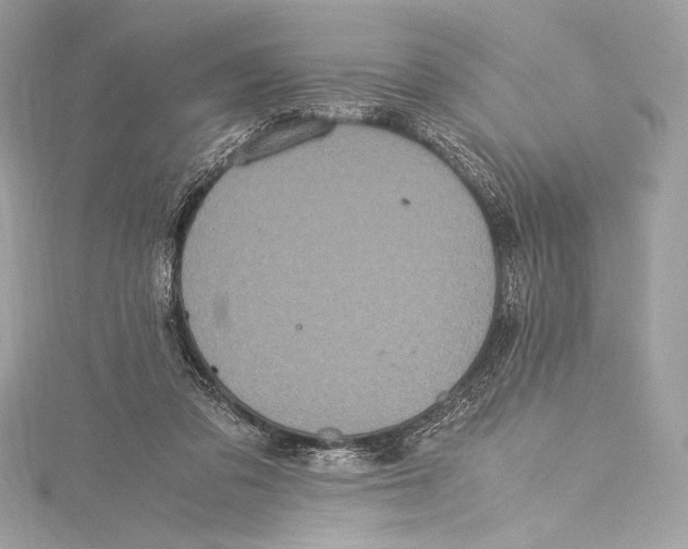 X0000115340309200911301553