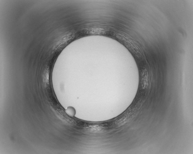 X0000115340310200911301553